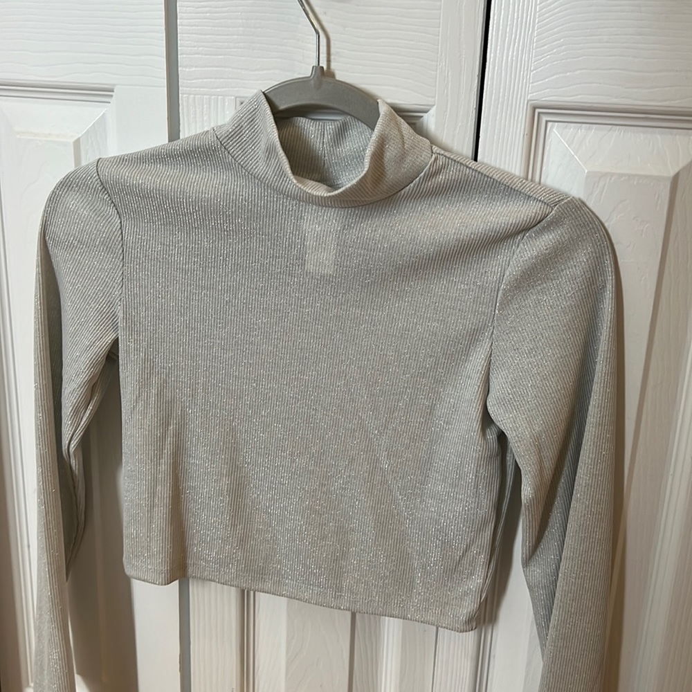Cropped long-sleeve turtle neck